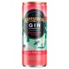 Kopparberg Gin Strawberry & Lime Can 250ml